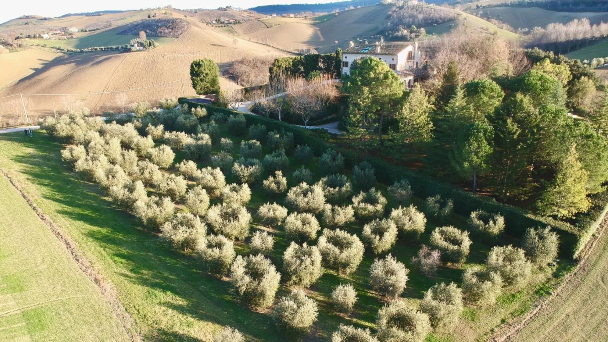 Monterosato Country House Ponzano di Fermo Экстерьер фото